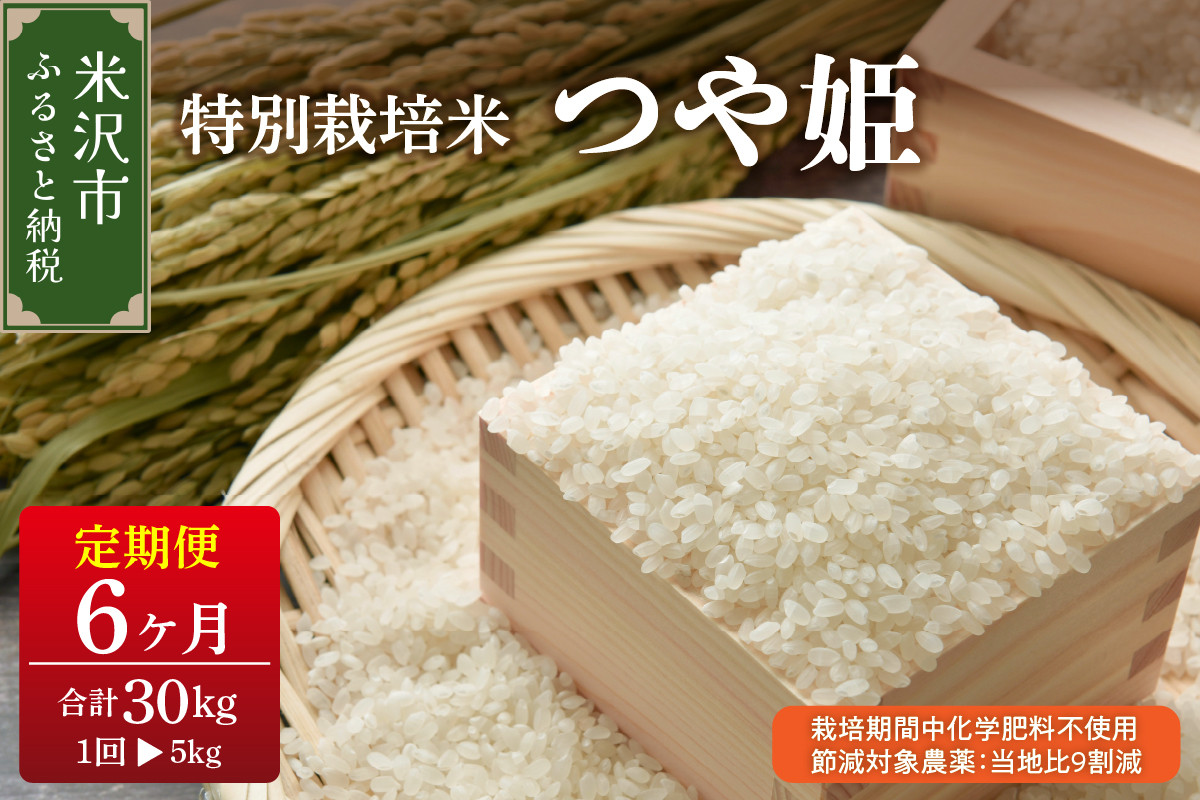 
《 新米 》【 6ヶ月定期便 / 令和6年産 新米 】 つや姫 5kg × 6回 計 30kg 特別栽培米 【栽培期間中化学肥料不使用・節減対象農薬：当地比9割減】 〈 配送月が選べる 〉 ブランド米 産地直送 2024年産
