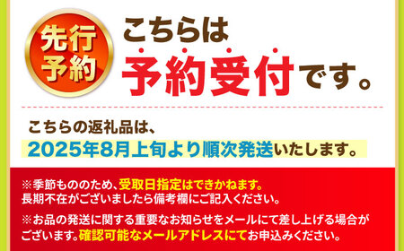【2025年8月発送】 シャインマスカット 約1.5kg（2房）＜濱﨑農園＞[CGN002]  シャインマスカット シャインマスカット シャインマスカット シャインマスカット シャインマスカット シャ