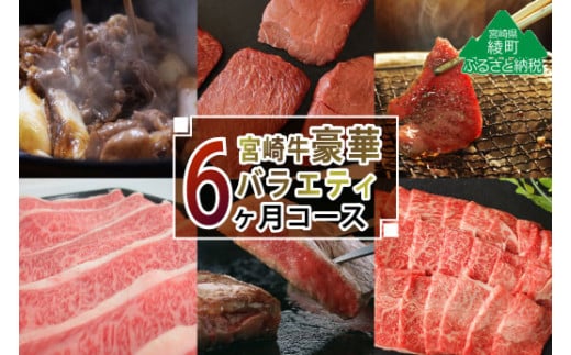 
【定期便】宮崎牛豪華バラエティ6か月コース 4.6kg（36-201）

