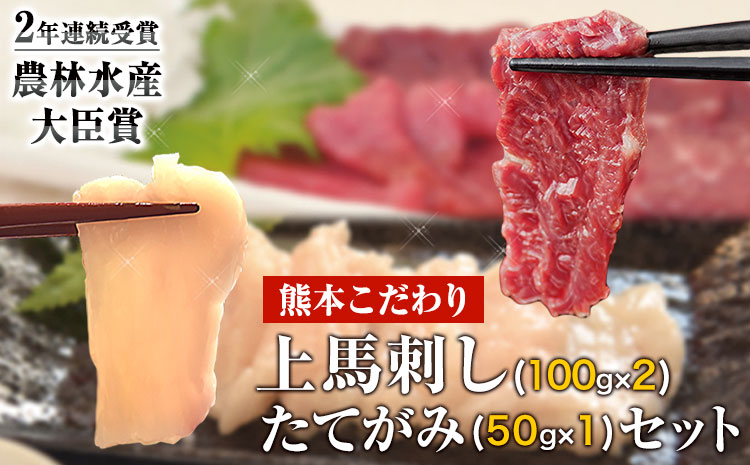 馬刺し 上赤身 ブロック (100g×2)＋たてがみ 50g 馬肉 赤身 肉 《3-7日以内に出荷予定(土日祝除く)》---ng_fakgakatate_3e7e_10500_250g---