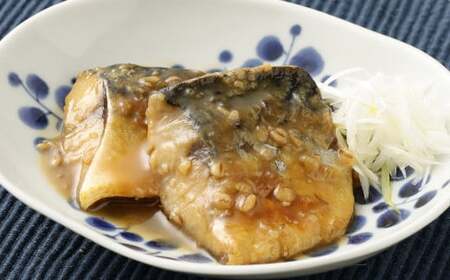 【定期便6か月】定塩 一汐鯖カット 約1.8kg 藻塩仕込み 骨あり 朝食、お弁当のおかずにも最適 総量約10.8kg さば 鯖 サバ 一汐鯖 切身 切り身 魚 冷凍 焼き鯖 焼き魚 おかず お弁当 