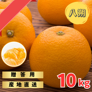 【先行予約】完熟木なりハッサクみかん　贈答用　秀品　10kg（M~3Lサイズ）【2026年3月上旬から3月下旬までに順次発送】/ みかん ハッサク 八朔 柑橘 果物 フルーツ 贈答【tmf002】