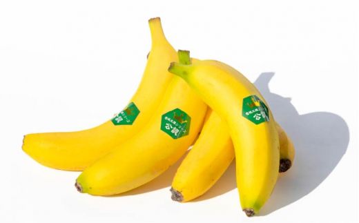 壱岐王様バナナ 1kg 《壱岐市》【株式会社コスモファーム】[JEL001] 皮ごと バナナ 果物 フルーツ 甘い 35000 35000円 