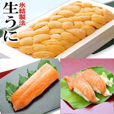 ふるさと納税 根室市 冷凍エゾバフンウニ約100g×1折(赤系)・サーモン[11月上旬以降発送] C-71031