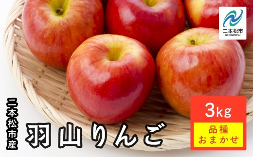 《2026年9月下旬以降順次発送》羽山りんご 品種おまかせ(早生・中早生)  3㎏ りんご リンゴ 林檎 国産りんご フルーツ 果物 人気 ランキング おすすめ ギフト 故郷 ふるさと 納税 福島 ふくしま 二本松市 送料無料【羽山果樹組合】