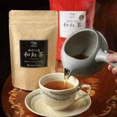 ふるさと納税 水俣市 国産 みなまた 和紅茶飲みくらべ3種 ティーバッグ 紅茶 レモンティー【福田農場】 |  | 02