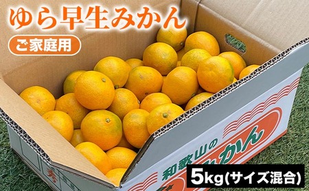 ご家庭用 ゆら早生みかん (サイズ混合) 5kg | みかん 柑橘 和歌山 ミカン ゆら早生 早生 早生みかん 家庭用 フルーツ 果物 5kg