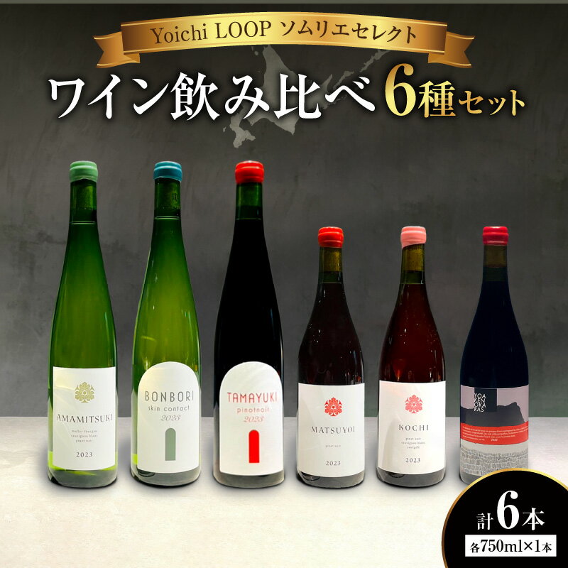 【ふるさと納税】Yoichi LOOP ソムリエセレクト ワイン6本セット AMAMITSUKI 2023 MATSUYOI 2023 KOCHI 2023 BONBORI skin contact 2023 TAMAYUKI pinot noir 2023 YOAKENOKARAS zweigelt 2022 白ワイン 赤ワイン ロゼワイン 贈り物 プレゼント 北海道 余市町 送料無料