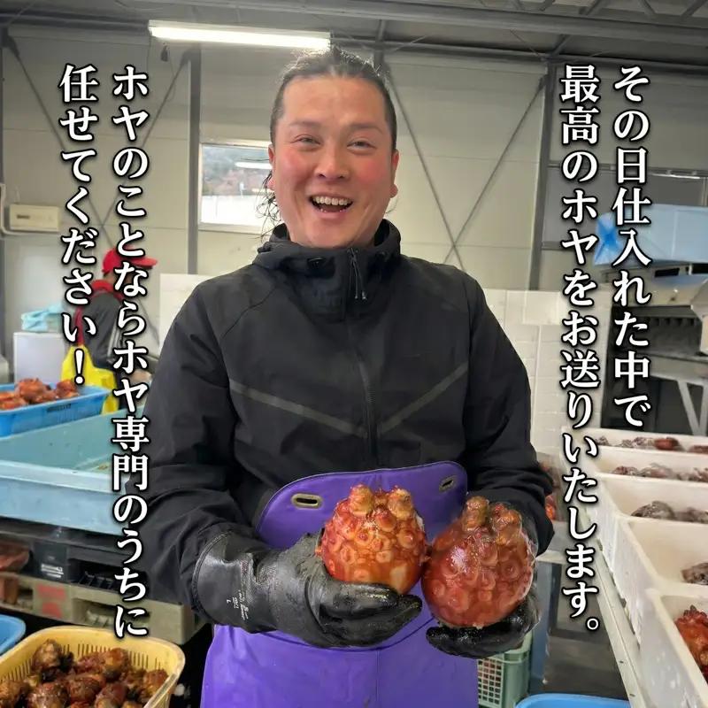 【先行予約】 ホヤ専門業者！ 殻付きホヤ 6個 ＼5月以降順次発送／