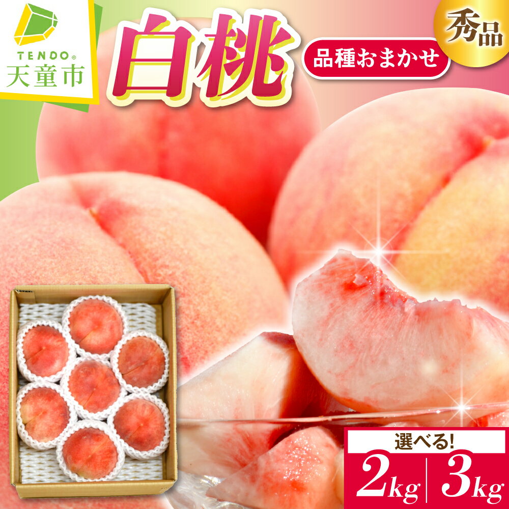 【ふるさと納税】白桃 ( 品種 おまかせ ) 選べる 2kg / 3kg 秀品 令和8年産 先行予約 2026年 山形県産 桃 果物 フルーツ のし 贈答 ギフト おすそ分け 期間限定 冷蔵便 送料無料 産地直送 お取り寄せ 【 山形県 天童市 】