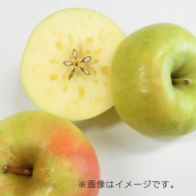 【10月下旬より発送開始】産地直送 青森県産ぐんま名月 3キロ箱 6～14玉 青森県産りんご【配送不可地域：離島】