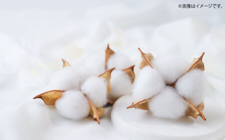 天然素材100％＆アルコール無配合のぬれコットン エムプライド清浄綿（20包×10箱）愛媛県大洲市/コットン・ラボ株式会社[AGCN005]