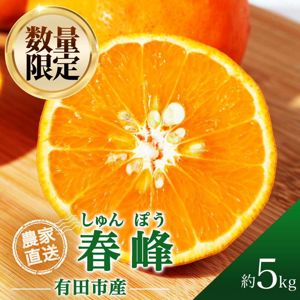 【ふるさと納税】春峰（しゅんぽう）5kg 濃厚 柑橘 フルーツ 果物 くだもの みかん 人気 おすすめ 送料無料 国産 和歌山 有田市【2026年2月下旬から順次お届け】（A138-1）