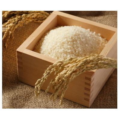 ふるさと納税 むかわ町 ななつぼし　精米　10kg |  | 02