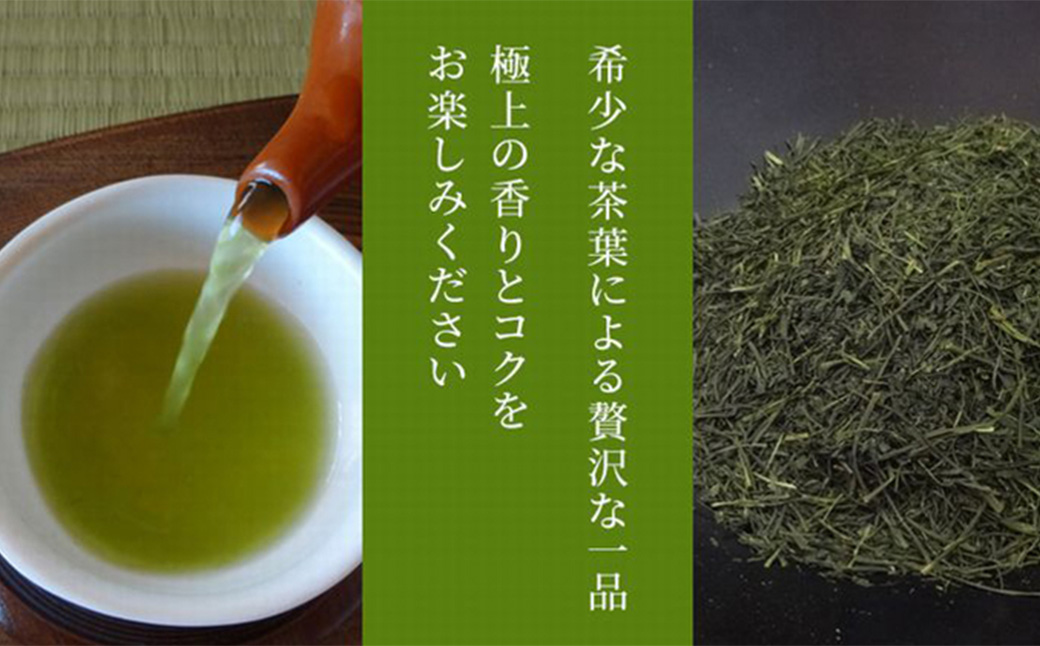 【かえで缶】学生さん達と考えた深蒸し茶ギフトセット！ 絵柄が選べる200g缶 （200g×2缶 計400g）！ センスが光るオシャレな茶缶セット！ 茶 茶缶 緑茶 深蒸し茶 静岡緑茶 日本茶 贈答