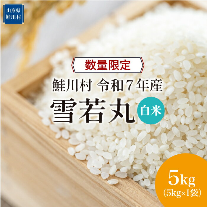 【ふるさと納税】数量限定！＜令和7年産米＞ 鮭川村 雪若丸 【白米】 5kg （5kg×1袋）＜配送時期選べます＞