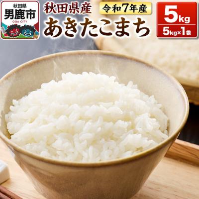 ふるさと納税 男鹿市 ＜令和7年産＞あきたこまち 白米 5kg 鈴木農産|23_szn-010501