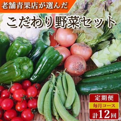 ふるさと納税 時津町 【発送月固定定期便】こだわり野菜セット 7〜8品目 詰め合わせ (時津町)全12回