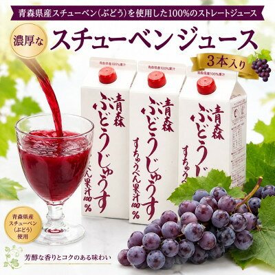 【ふるさと納税】スチューベンジュース1L×3本入り【1772409】