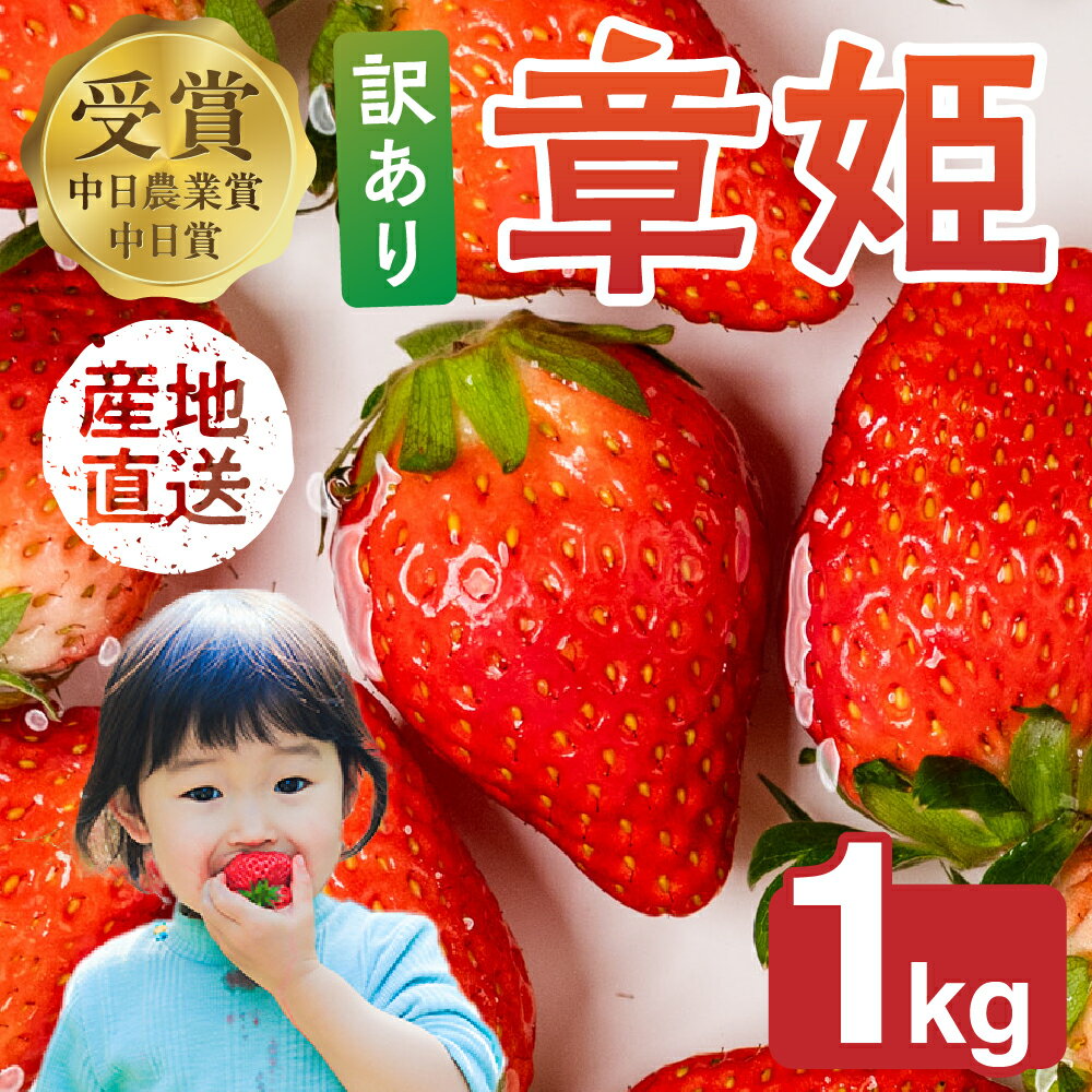 【ふるさと納税】≪先行予約！≫ 章姫 訳ありいちご 計1kg ( 約250g × 4 ) いちご イチゴ 苺 フルーツ 旬 果物 採れたて 10000円 1万円 ショートケーキ フルーツサンド にも スイーツ 産地直送 完熟 国産 冷蔵 愛知県 豊橋市 豊橋 わけあり 規格外