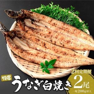 ＜2026年4月配送開始／定期便2回＞ うなぎ白焼き 計800g (200g×2尾×2回) ／ うなぎ 鰻 ウナギ 蒲焼 蒲焼き 土用 丑の日 特選 肉厚 たれ 国産 ふるさと 鰻丼 鰻重 うな重 うなぎたれ ギフト 贈り物 佐賀 佐賀県
