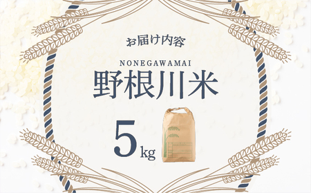 令和7年産 野根川米 5kg 米 国産 コメ【NO001】
