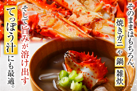 【年内配送対応可○】【北海道根室産】花咲かに700g×2尾(計1.4kg) F-20013