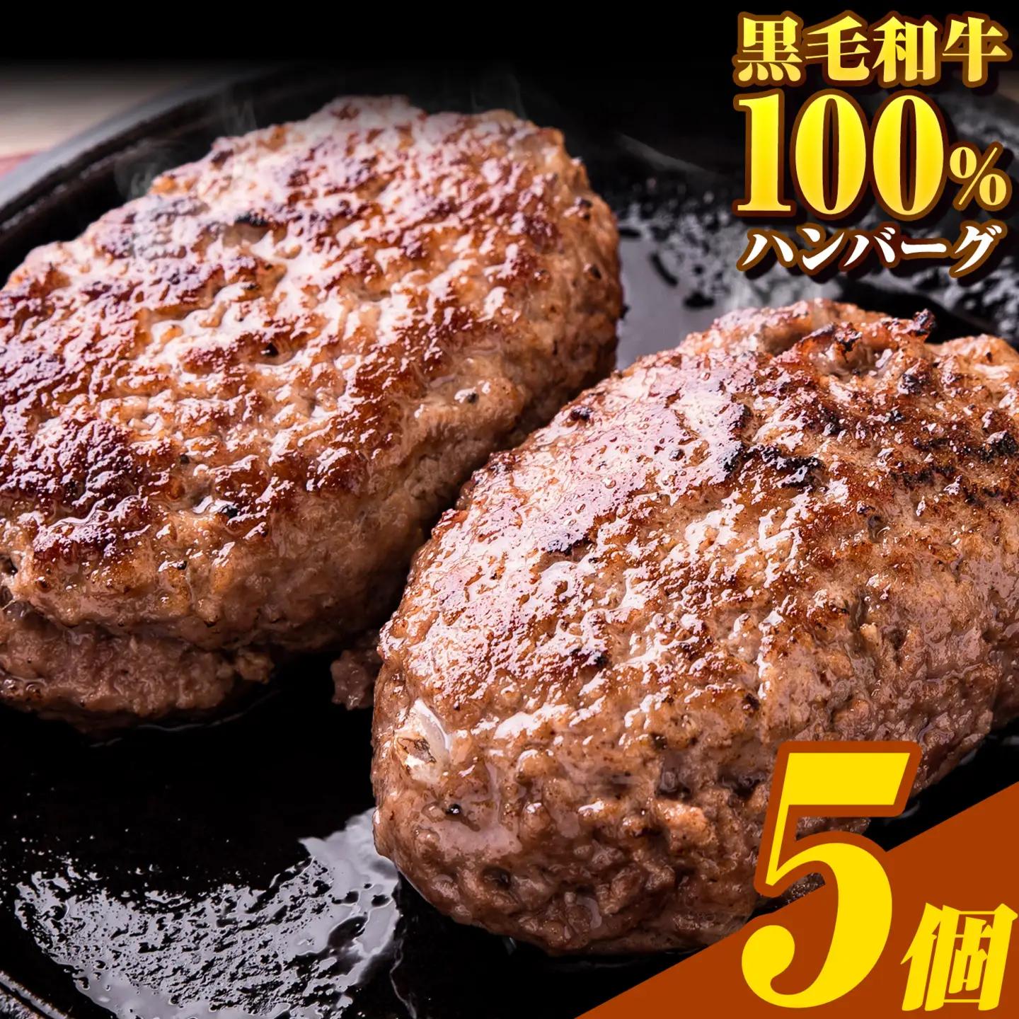 ハンバーグ 大容量 5個 黒毛和牛 100% 生ハンバーグ