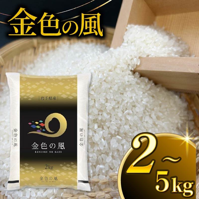 【ふるさと納税】 金色の風 精米 選べる容量 2kg / 5kg 米 白米 こんじきのかぜ お米 岩手県産 はくまい コメ rice ごはん 常温 常温保存 保存 農家 農作物 栄養 夕飯 大船渡 三陸 岩手県 国産
