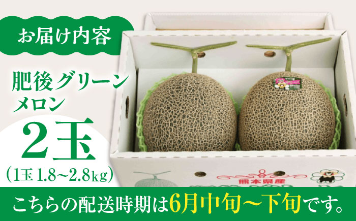 【数量限定】【先行予約】肥後グリーンメロン 2玉（1玉1.8～2.8㎏）【鹿本農業協同組合】 [ZAG014]
