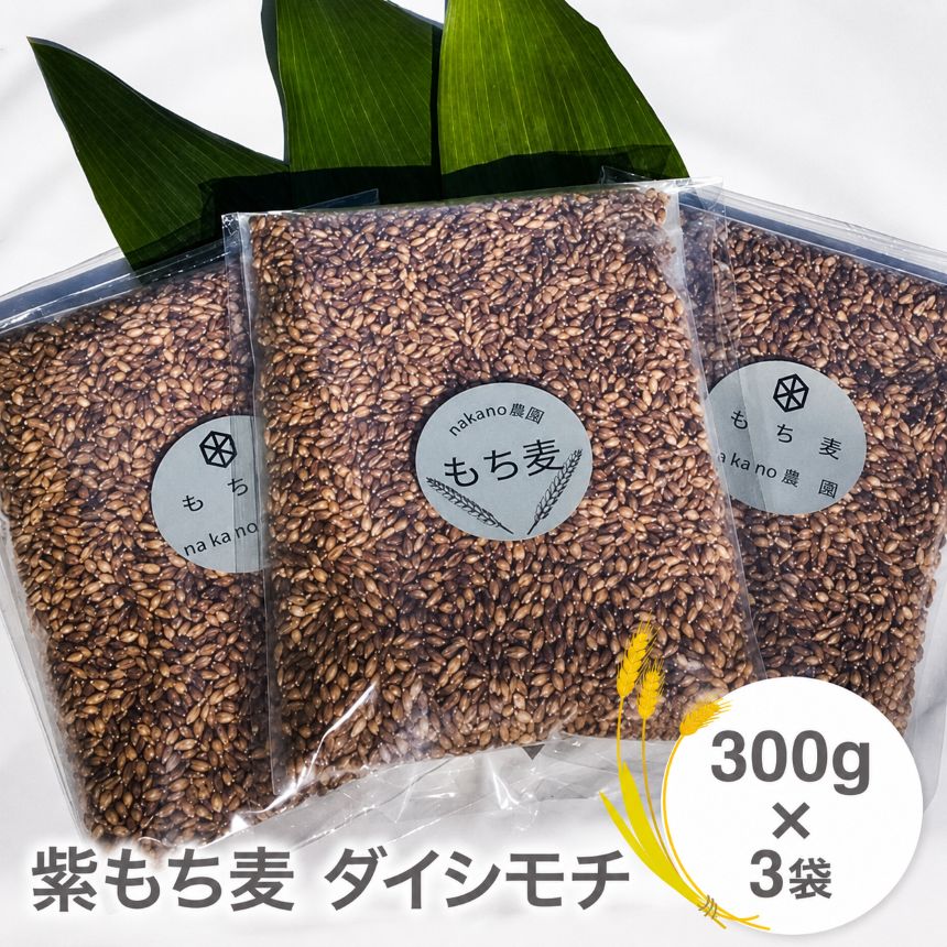 【ふるさと納税】山々と源流の山国町「nakano麦園」の希少な『紫もち麦』ダイシモチ300g×3袋 | 900g 900グラム 紫もち麦 もち麦 麦 ダイシモチ 紫麦 雑穀 穀物 希少 国産 麦ご飯 大分県 中津市 送料無料