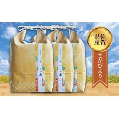 ふるさと納税 嬉野市 【毎月定期便】熟成すいしゃ米 佐賀県産 さがびより15Kg全3回