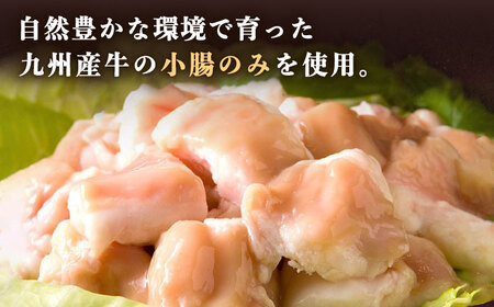 【全3回定期便】国産 ・ 完全 無添加 もつ鍋 セット ( 約 2人前 ) しょうゆ味 糸島市 / 博多 浜や[AFF011]