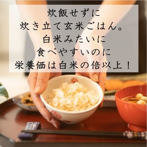 【定期便】あきたこまち酵素玄米パックごはん【乳酸菌入り】（3ヵ月）【(株)鈴木又五郎商店】[D2302]