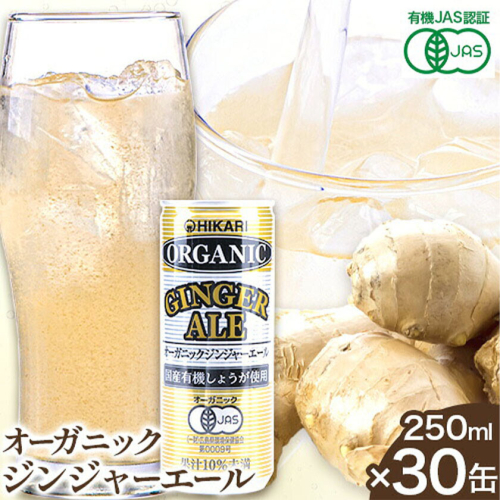ジンジャーエール 250ml×30缶 光食品株式会社《30日以内に出荷予定(土日祝除く)》徳島県 上板町 ジュース 炭酸水 光食品 ジンジャーエール オーガニック 有機 st-p