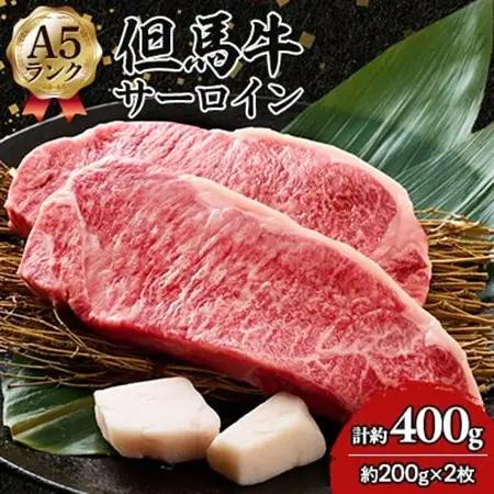 但馬牛 A5 サーロイン 2枚【配送不可地域：離島】【1584775】