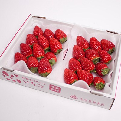 ＜4月より発送＞朝摘み毬姫約600g(300g前後×2P)【和歌山ブランド苺】【いちごを農家直送】【配送不可地域：離島・北海道・沖縄県】