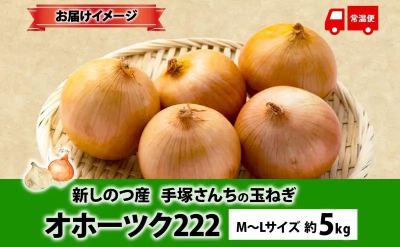 北海道 新しのつ産 手塚さんちのたまねぎ M～Lサイズ 約5kg オホーツク222 玉ねぎ 玉葱 タマネギ オニオン スライス 旬 農作物 野菜 サラダ みずみずしい シャキシャキ 甘い 北海道産 産