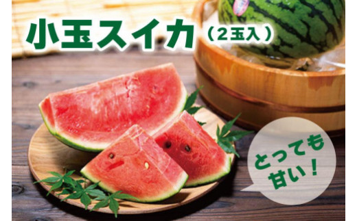 
                  とっても甘い！食べきりサイズの小玉スイカ　ひとりじめ　2玉入［HC2］
                