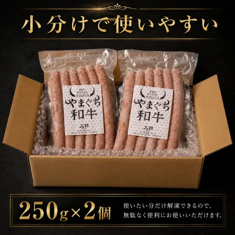 【 和牛 】 ウインナー 500g ウインナー BM