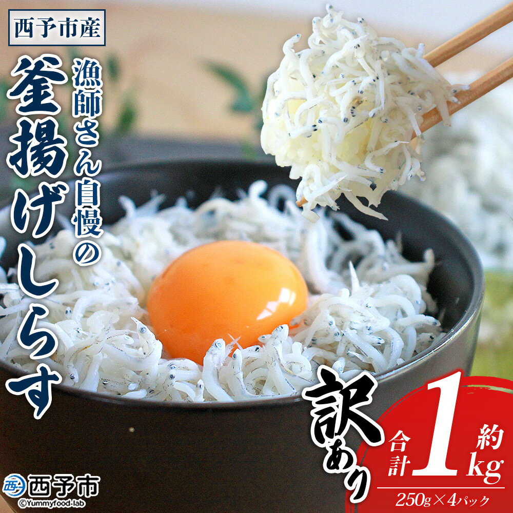 【ふるさと納税】＜訳あり 漁師さん自慢の釜揚げしらす1kg（250g×4パック）＞ 健康 カルシウム シラス 魚介類 さかな 海産物 海鮮 海の幸 小分け 国産 ご飯のお供 丼 おつまみ 晩酌 おかず 特産品 産地直送 濱田水産 愛媛県 西予市【冷凍】『1か月以内に順次出荷予定』