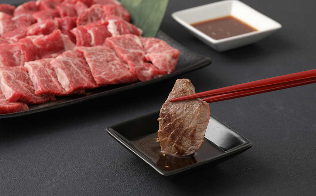 【1ヶ月毎8回定期便】 くまもとあか牛 焼肉セット 計約8kg（約1kg×8回） もも焼肉 ホルモン