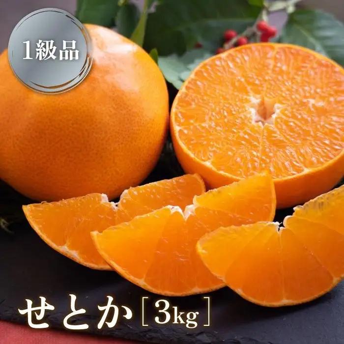 【一級品】せとか みかん 3kg 柑橘 蜜柑 愛媛県 松山市【TMN017_x】