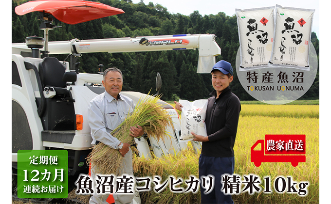 農家直送！ 魚沼産 コシヒカリ 精米 10kg （ 5kg × 2袋 ） 12ヶ