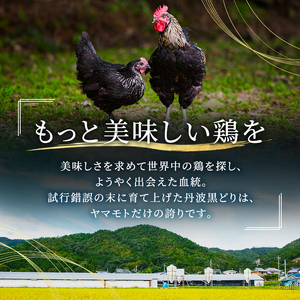 地鶏 丹波黒鶏 むね肉 地鶏【2kg】