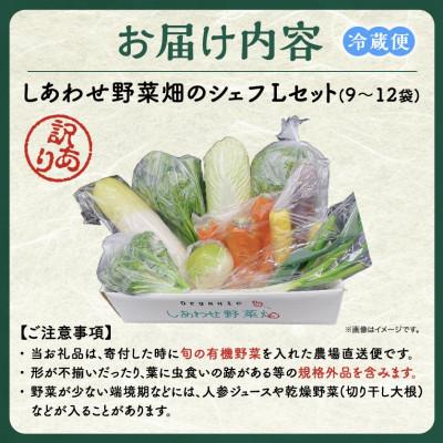 ふるさと納税 掛川市 【毎月定期便】しあわせ野菜畑のシェフLセット　(訳あり規格外の有機野菜を一部使用)全12回 |  | 03