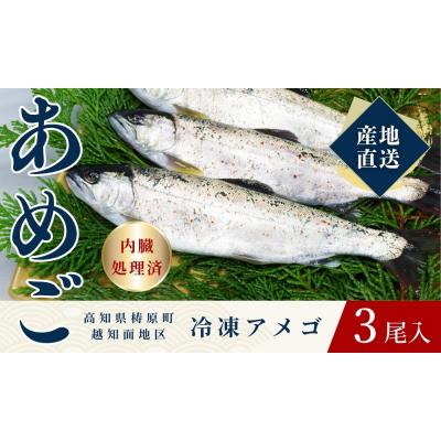 ふるさと納税 梼原町 四万十川源流域の清流で育ったゆすはらアメゴ(3匹入り)