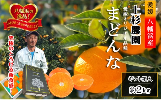 ギフト対応化粧箱入・上杉農園のぷるぷる新食感!「マドンナ」約2kg＜C39-50＞【1450439】 YWTF025