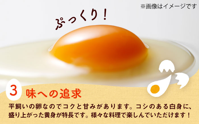 【全3回定期便】平飼い新鮮たまご 元気玉 計40個(10個×4パック) / 卵 ぷりぷり 新鮮 玉子 オムレツ たまごかけごはん 朝食 平飼い 濃厚 こく 熊本県 菊陽町【ぴよっこファーム】 [BHA