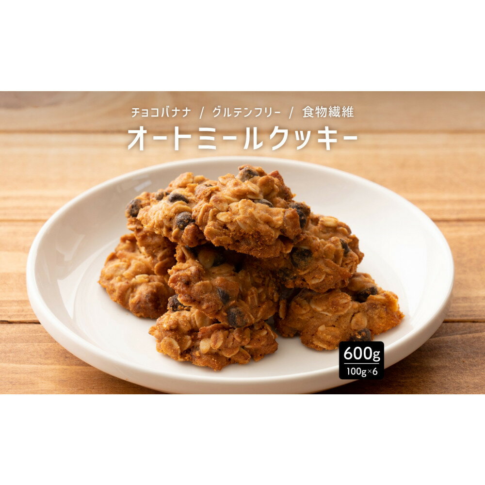 【ふるさと納税】オートミールクッキー チョコバナナ 600g(100g×6袋)